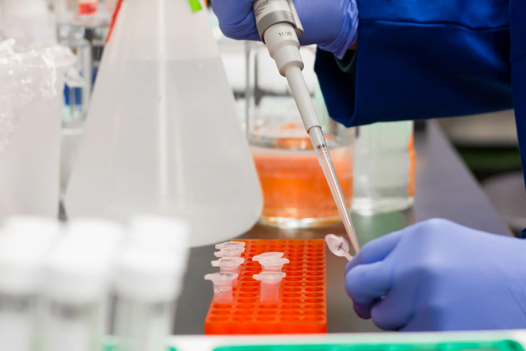 A gloved hand pipetting a sample into a rack of vials